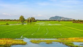 Begin your DL visa-prepared day with Vietnam’s tranquil ambiance